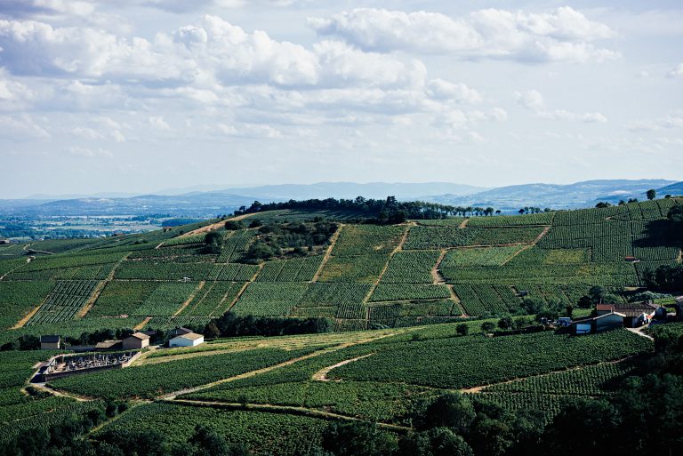 Beaujolais, Frankrig