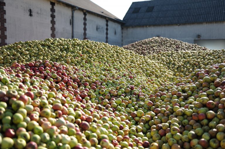 Calvados