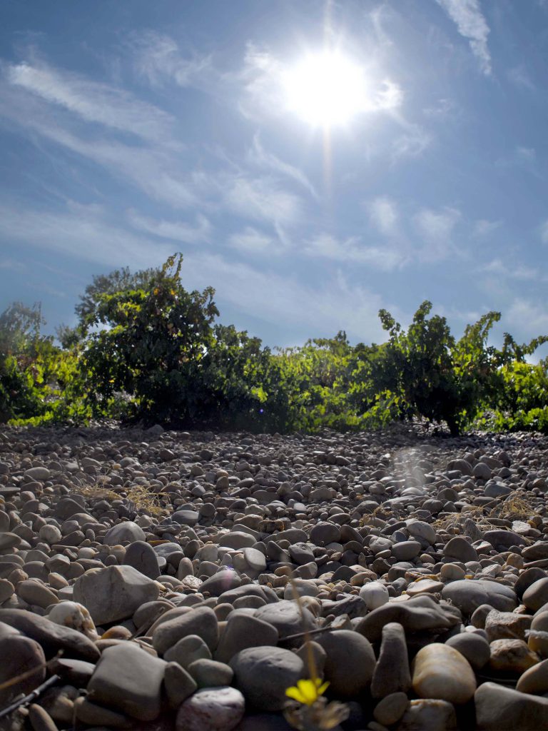 Det nye Priorat