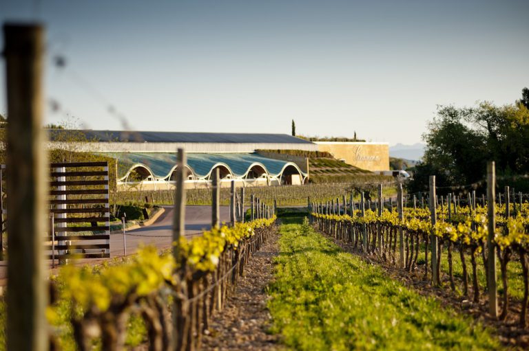 Flere kendte vinhuse forlader D.O. Cava