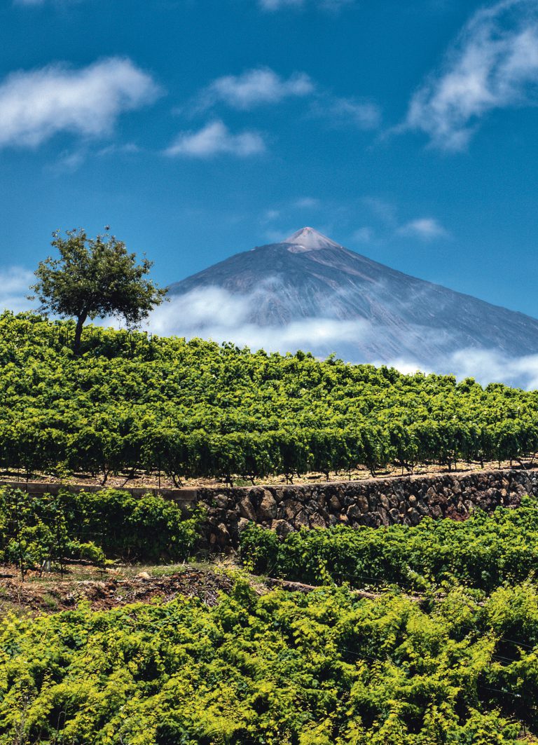Tenerife & Lanzarote