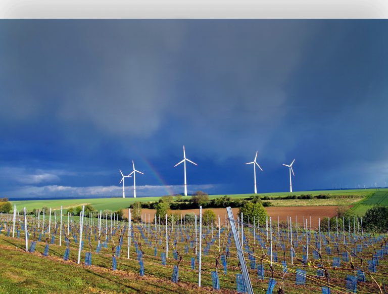 Klimaforandringerne og vinverdenen