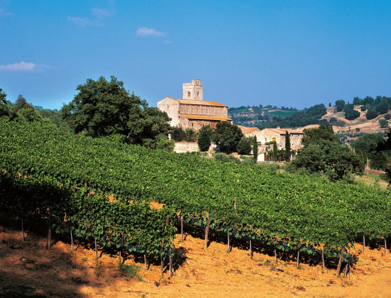 Kongen af sangiovese