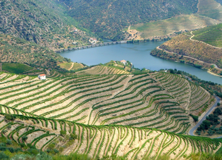 De nye årgange fra Douro
