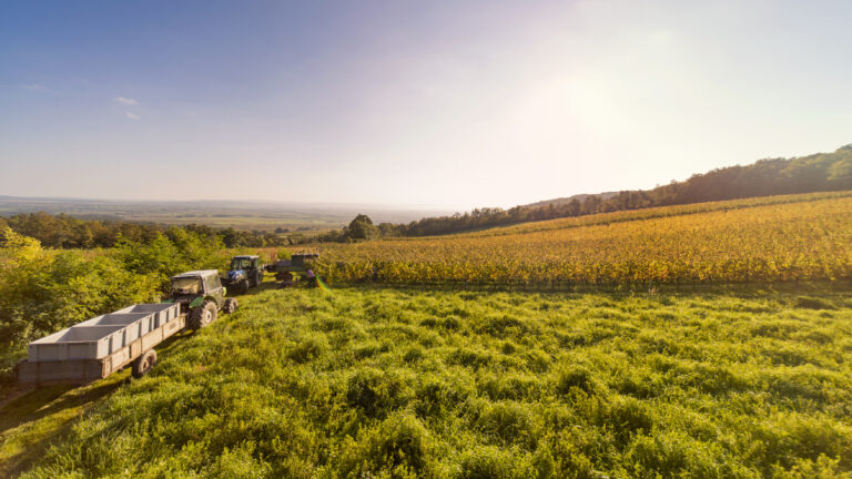 Østrigs ukendte områder
