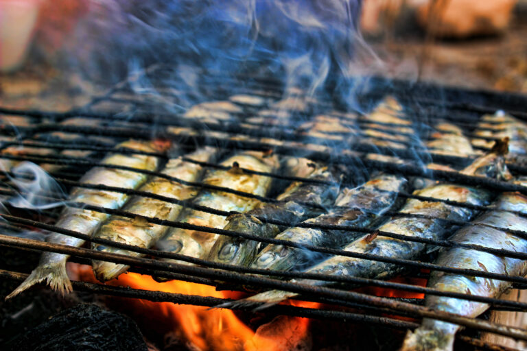 Bedste grillvin til fisk