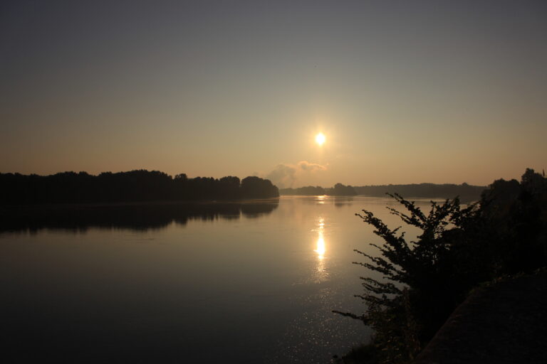 Test af rødvinene fra Loiredalen