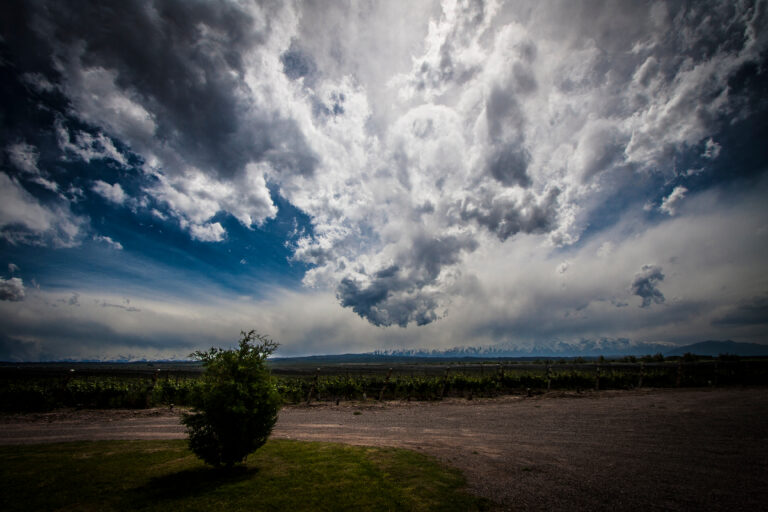 Patagonien og den sorte flod