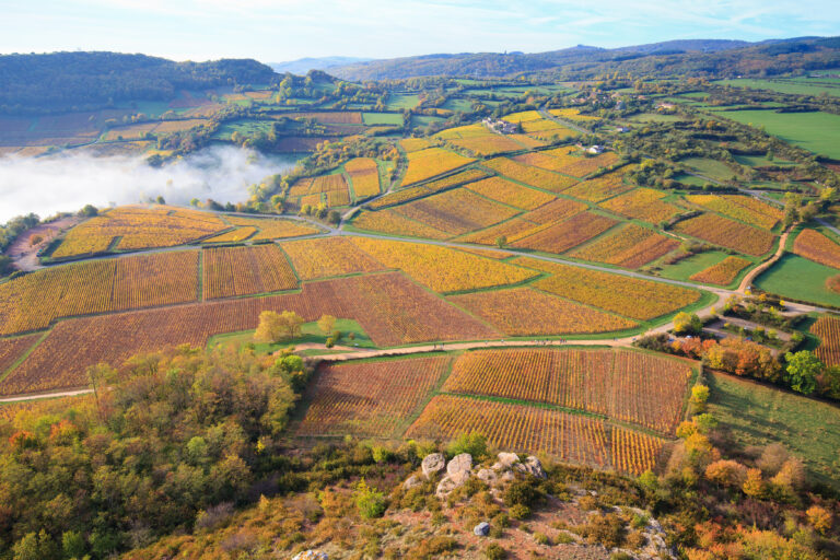 22 nye Premier Cru i Pouilly-Fuissé