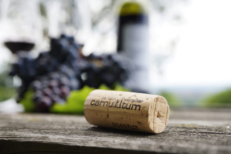 Fokus på zweigelt fra Carnuntum