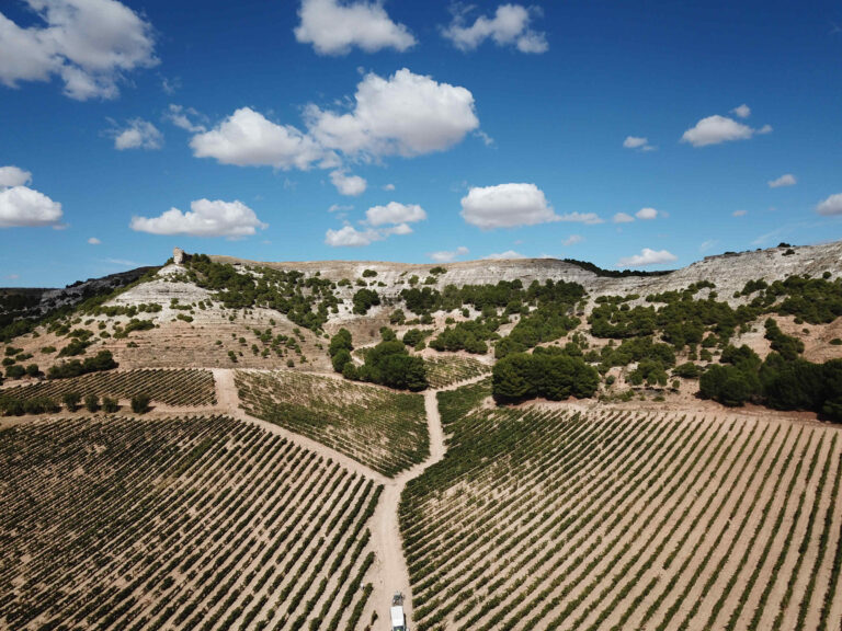 De sorte vine fra Nordspanien