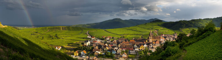 Sådan blev 2020 i Alsace