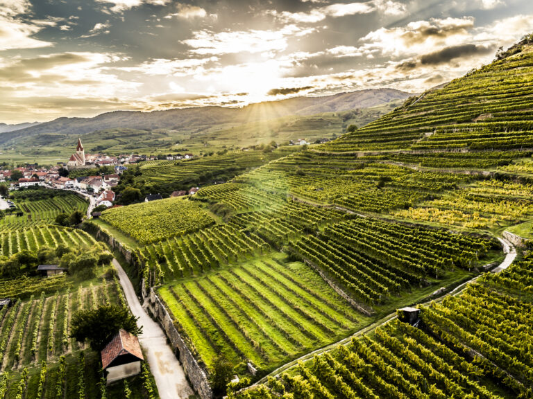 Wachau