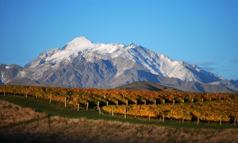 Stortest: Marlborough sauvignon blanc