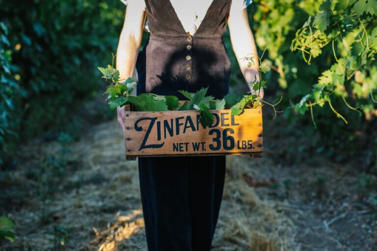 Den krydrede immigrant