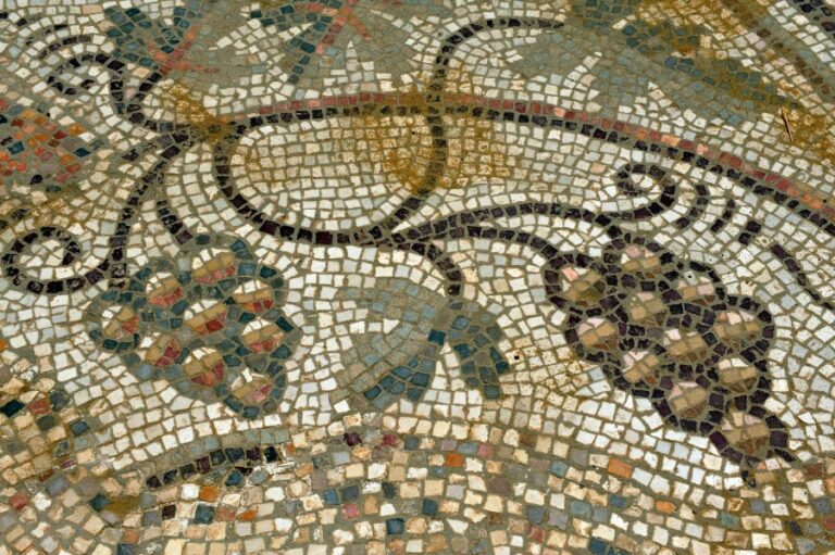 1500 år gammelt vingård fundet i Israel