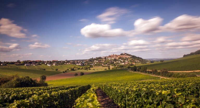 De sprøde vine  — fokus på Sancerre og Pouilly-Fumé