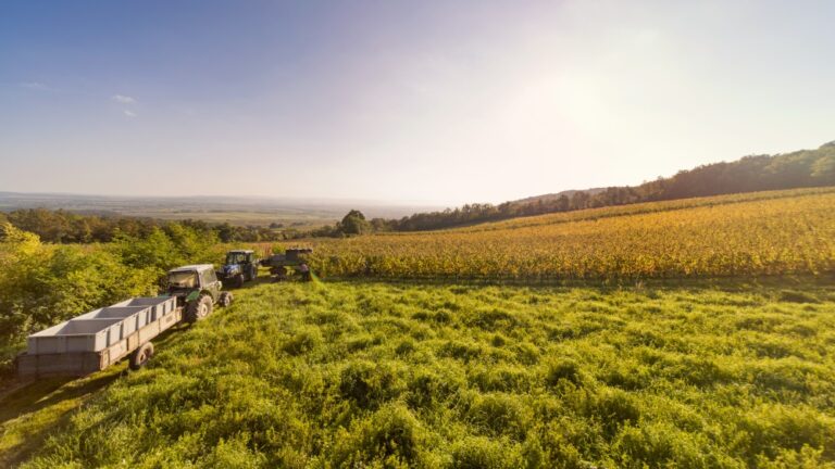 Fokus på Leithaberg