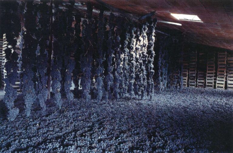 Masterclass: Amarones mange ansigter