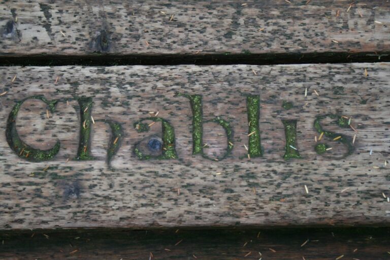 De stringente, mineralske vine — på besøg i Chablis