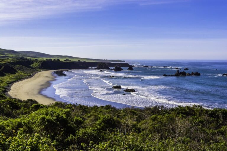 Nyt vinområde i Californien