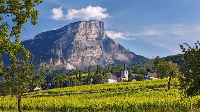 Savoie – de ukendte bjergvine