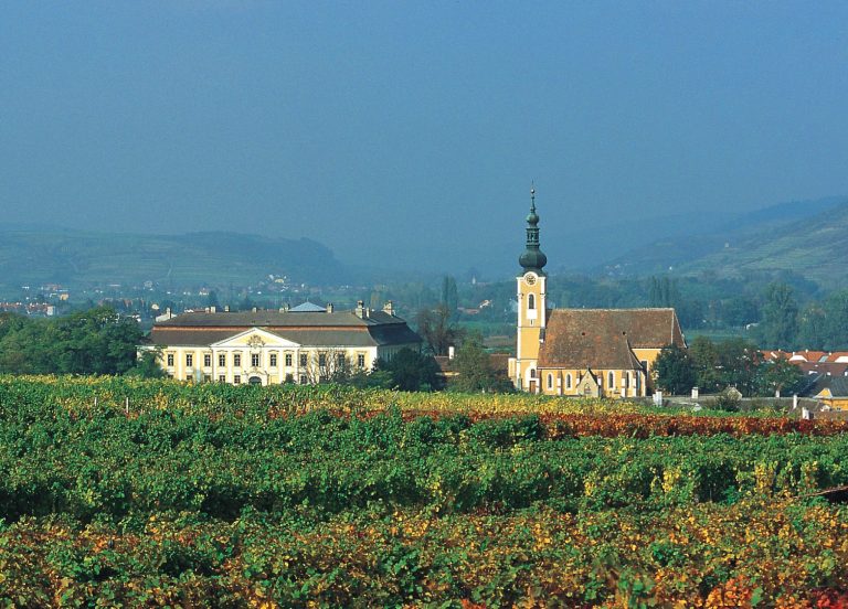 Østrigs Erste Lagen del 2 – Riesling 2020/2019