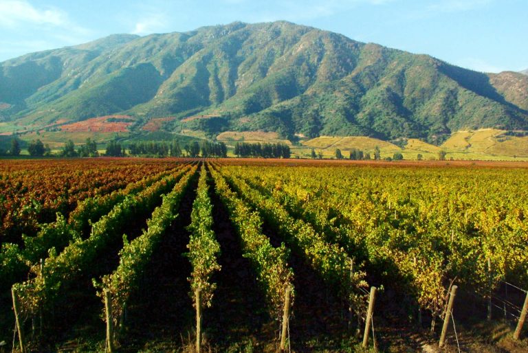 2022 blev et udfordrende år i Chile