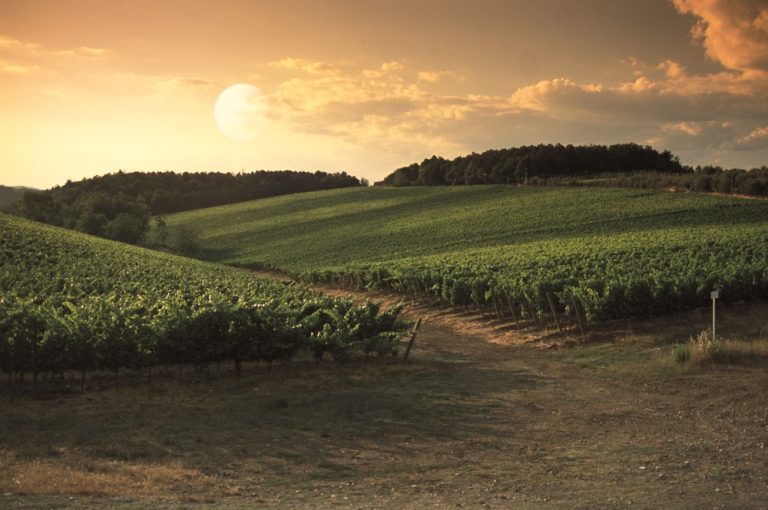 Historien om den uartige dreng i klassen