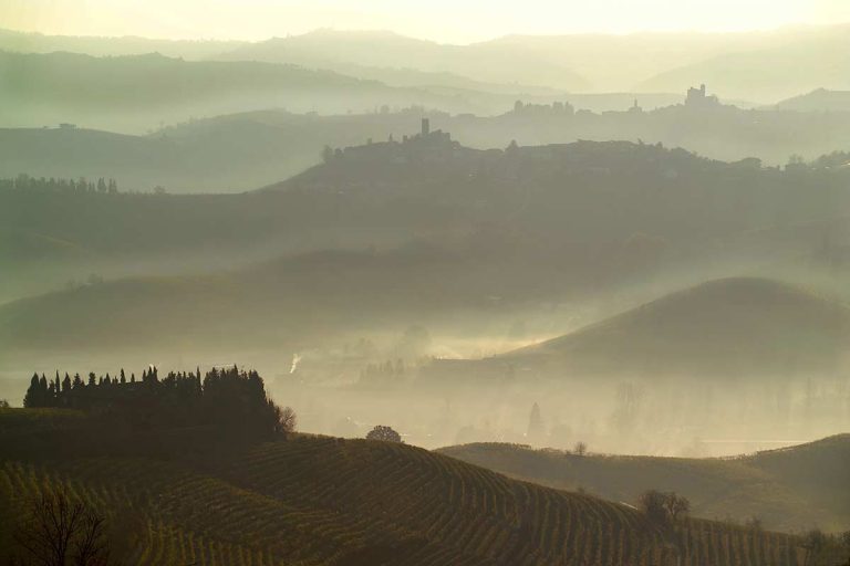 De nye årgange fra Piemonte — Barbaresco 2019