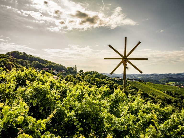 Sådan bliver de nye årgange fra Steiermark