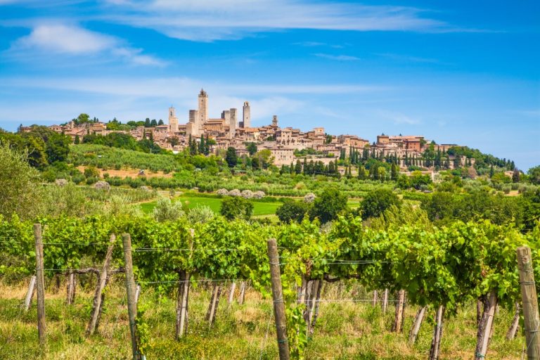 Italiens ældste klassificerede vin — Vernaccia di San Gimignano