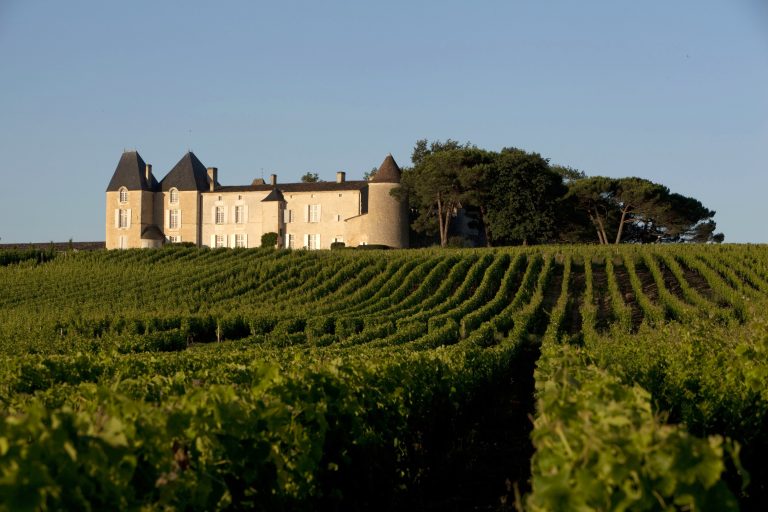 Sådan blev Bordeaux 2021 – de andre vine