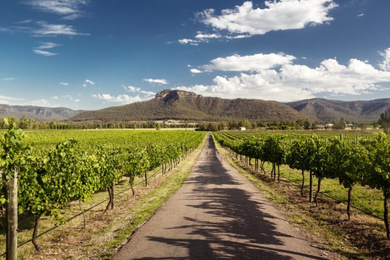 Stortest: Australske Cabernet Sauvignon