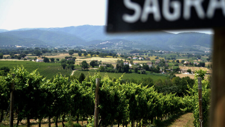 Montefalco — Umbriens hjerte