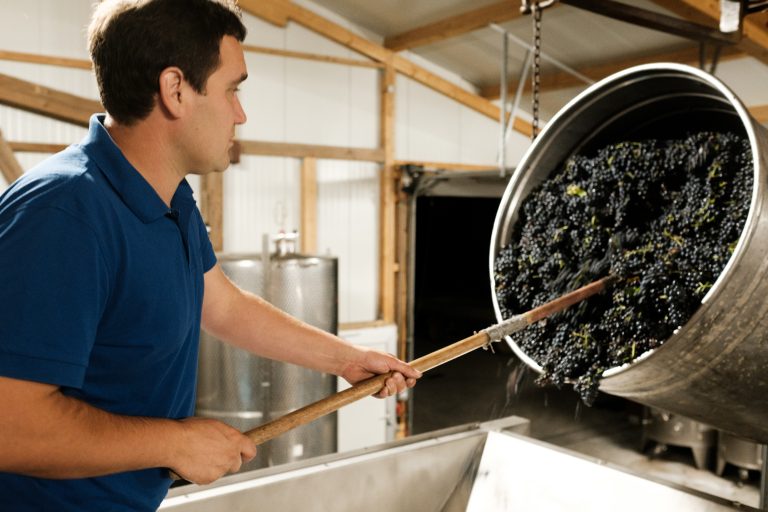 Sådan bliver tysk pinot noir 2020