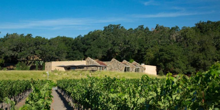 Stag’s Leap Wine Cellars får italiensk ejer