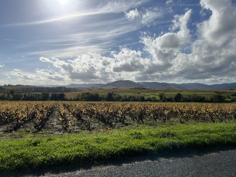 Plan for Premier Cru klassificering i Fleurie på vej