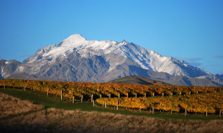 Marlborough har fået sit første vinkort