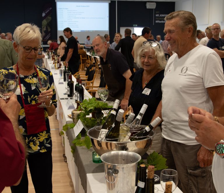 De bedste danske vine