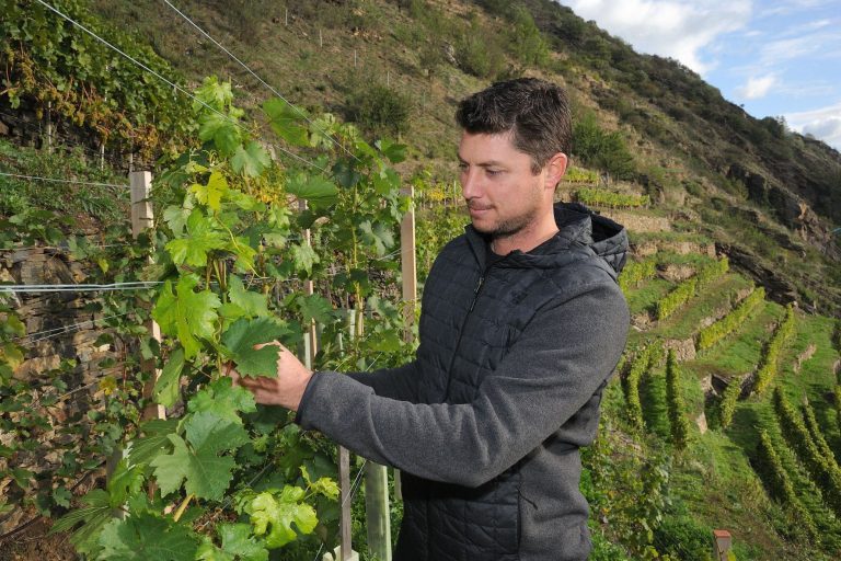 FJ Gritsch forlader Vinea Wachau