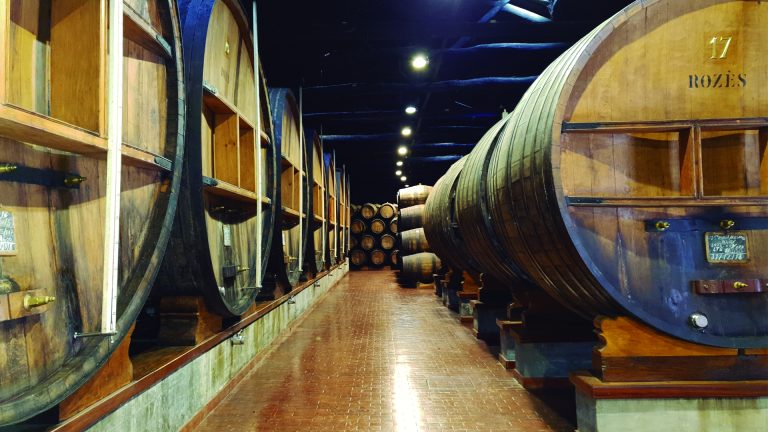 Fokus på Rozés port