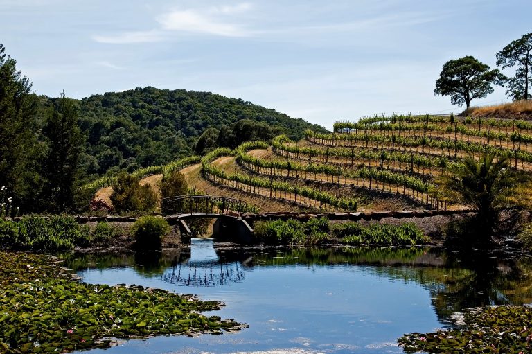 Netflix kaster sig over Napa Valley i ny vinserie