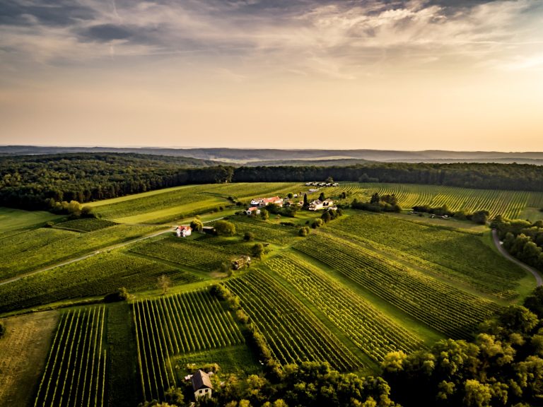 På besøg i Burgenland