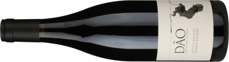 Uge 16: de bedste vinkøb