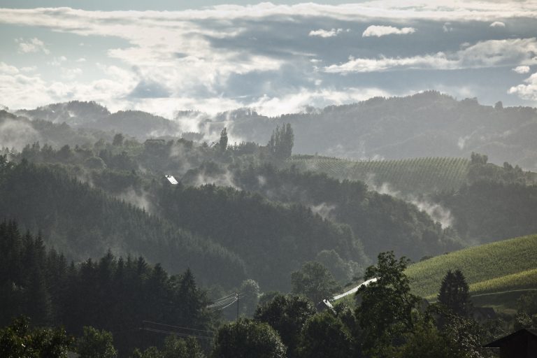 Fokus på de nye frigivne årgange fra Steiermark