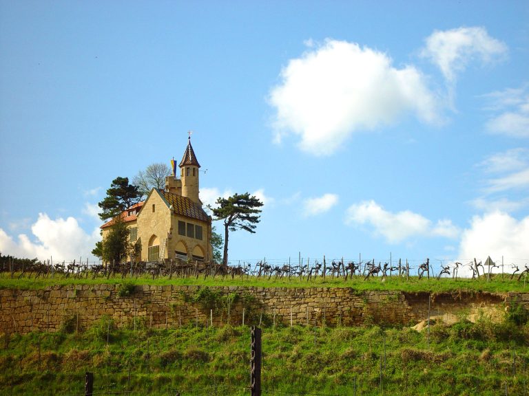 De nye vine fra Thermenregion