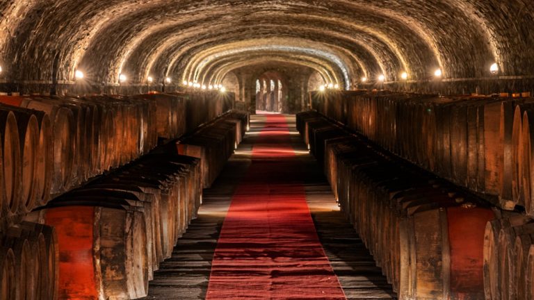 Fokus på Castello di Monsanto