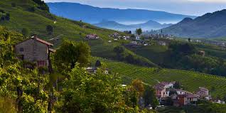 Fokus på Le Colture i Valdobbiadene