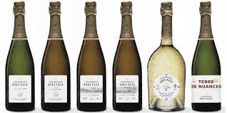 Fokus på champagnehuset Vaucelle